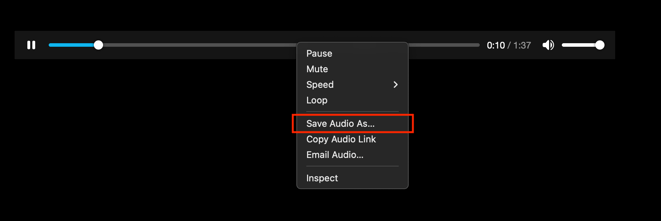 DownloadAudioMozilla