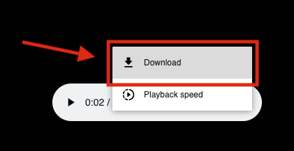 OA- Download Audio Pt2